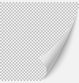 blank page vector image vector image