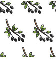 olive branch greece symbol seamless pattern greek vector image vector image