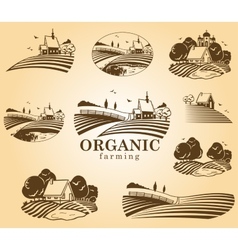 Organic farming design elements Royalty Free Vector Image