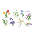 bundle of natural drawings spring flowers vector image vector image