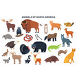 animals north america vector image