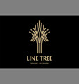 elegant luxury golden line tree plant for grow vector image vector image