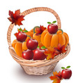 pumpkins and apples in a basket autumn season vector image