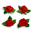 set of red roses vector image vector image