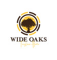 oak tree inspiration logo design vector image vector image