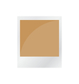 pola brown vector image vector image