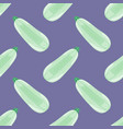 seamless pattern with squashes vector image vector image