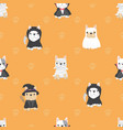 cute french bulldog puppy in halloween costume vector image