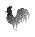 rooster black dotwork vector image