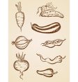 vintage vegetables set vector image vector image