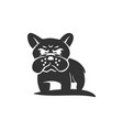 french bulldog animal icon template mascot vector image