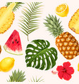 pineapple and watermelon seamless vector image
