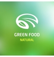 green food logo vector image