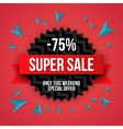 sale special offer vector image vector image