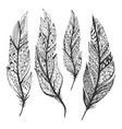 hand drawn feathers set on white background vector image vector image