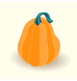card with pumpkin on white background vector image