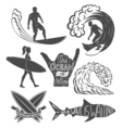 set of surfing vintage design elements surf logo vector image