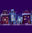 amsterdam night cityscape cartoon vector image
