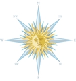 wind rose with the image sun face vector image