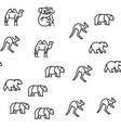 zoo animals birds and snakes seamless vector image vector image