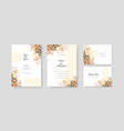 beautiful soft floral and leaves wedding vector image