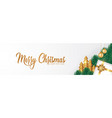merry christmas and happy new year vector image