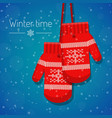 winter knitted mittens vector image