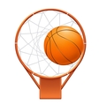 basketball icon vector image