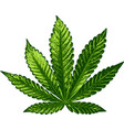 cannabis sign dark green vector image