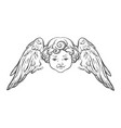 cherub cute winged curly smiling baby boy angel vector image