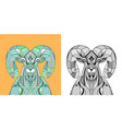 coloring book big horn sheep head vector image