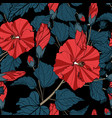 hand drawn line sketch flowers hibiscus with leave vector image