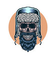 skull winter vector image vector image