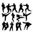 martial art sport silhouettes vector image