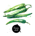 watercolor hand drawn green chili isolated eco vector image vector image