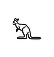 kangaroo sketch icon vector image