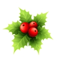christmas holly with berries vector image