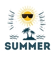 summer poster sunny sunglasses funny vector image