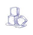 ice cubes isolated drawing hand drawn vector image vector image