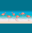 exotic pink flamingos walking on the hot summer vector image vector image
