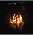 burning fire and its glowing reflection vector image vector image