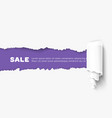 torn paper realistic vector image