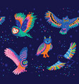 bright seamless pattern with owls vector image