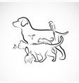 group pets - dog cat parrot rabbit butterfly vector image vector image