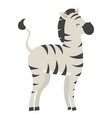 zebra cartoon a cute vector image vector image