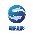sharks letter based s symbol vector image