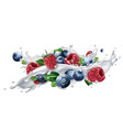 blueberries and raspberries in a milk or yogurt vector image