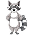 cute cartoon raccoon standing on white background vector image