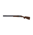 hunt cartridge shot rifle shotgun vector image