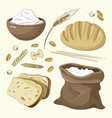 set of food products from wheat and flour vector image